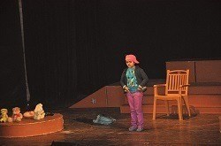 THE STAGE SHOW