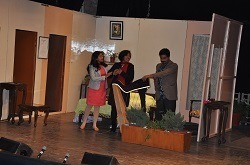 THE STAGE SHOW